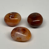 140.9g,1.5"-1.7", 3pcs, Small Red Carnelian Palm-Stone Gem Crystal Polished,B281