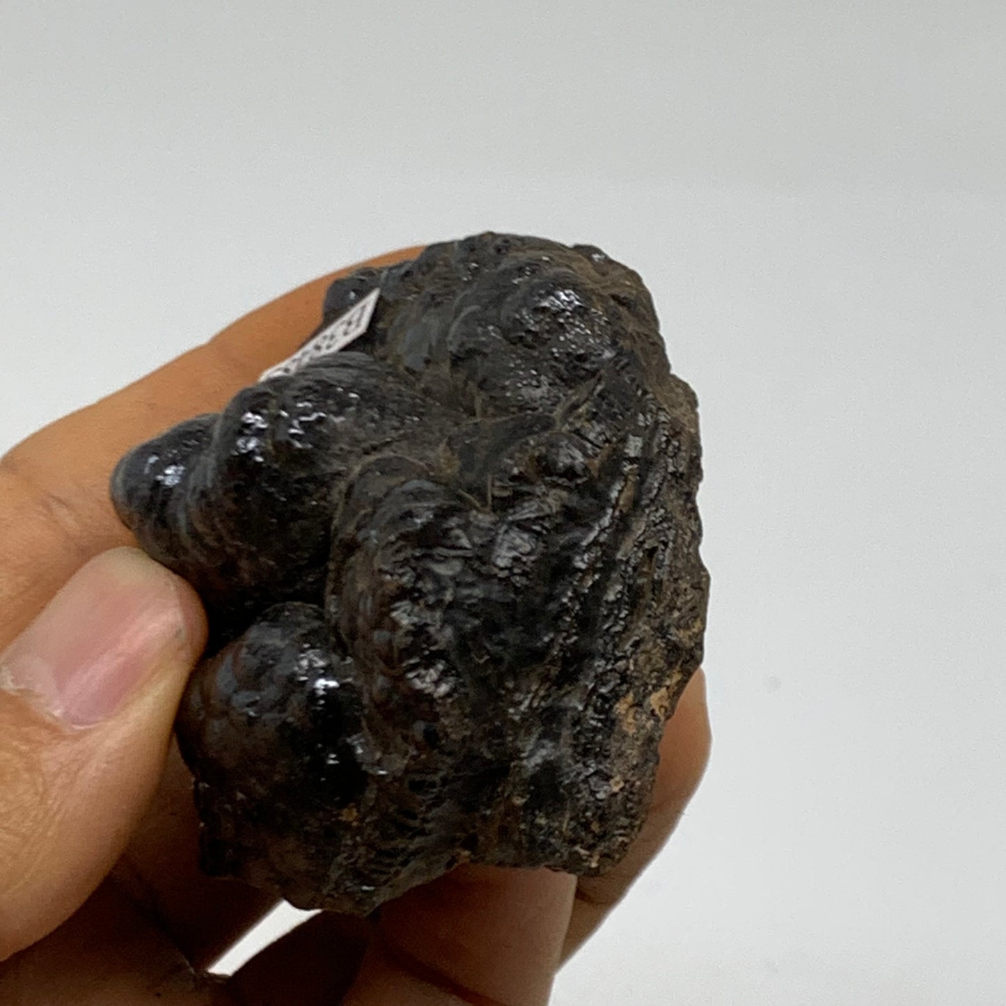 156.1g, 1.9"x1.9"x1.5", Rough Hematite Botryoidal Mineral Crystal, B38483