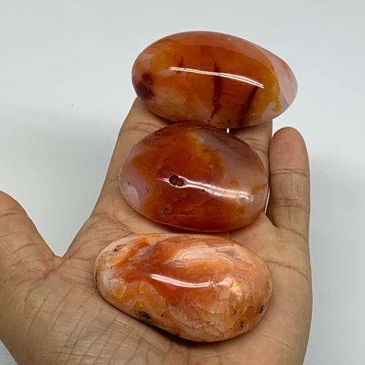 219.9g, 2"-2.4", 3pcs, Red Carnelian Palm-Stone Gem Crystal Polished, B37623
