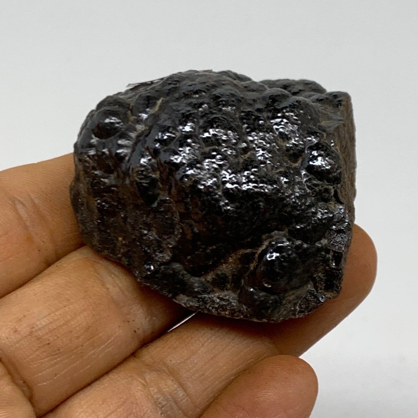 103.6g, 1.8"x1.8"x1", Rough Hematite Botryoidal Mineral Crystal, B38484