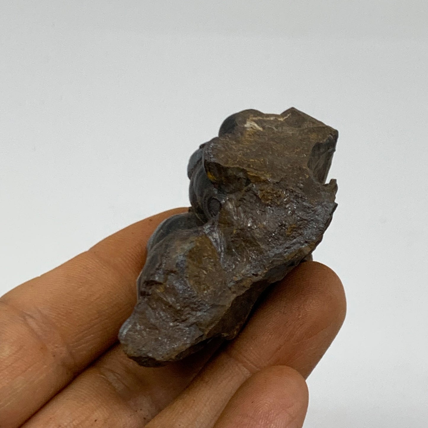 91.7g, 2.3"x1.4"x1.1", Rough Hematite Botryoidal Mineral Crystal, B38485