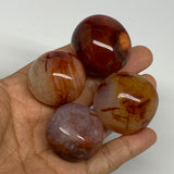 192.5g,1.3"-1.5", 4pcs, Small Red Carnelian Palm-Stone Gem Crystal Polished,B281