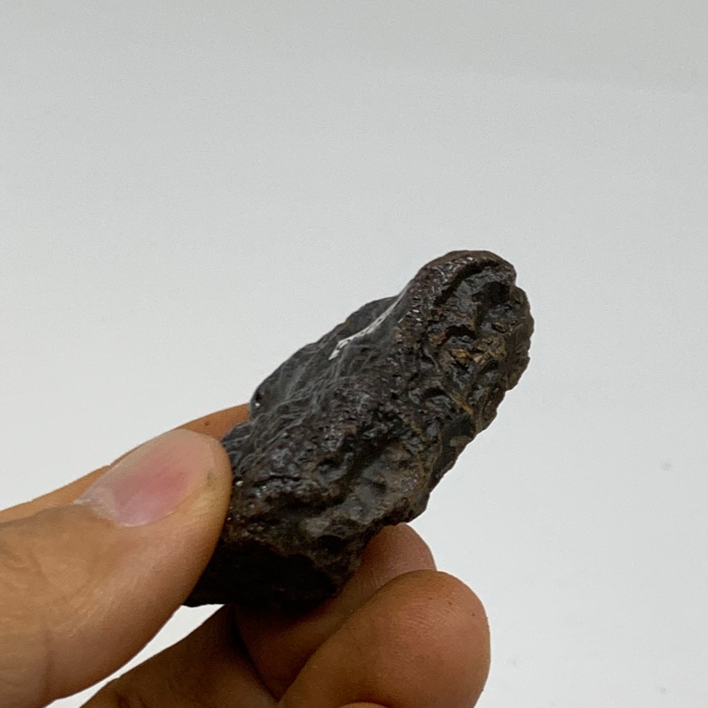 66.3g, 2"x1.6"x0.6", Rough Hematite Botryoidal Mineral Crystal, B38486