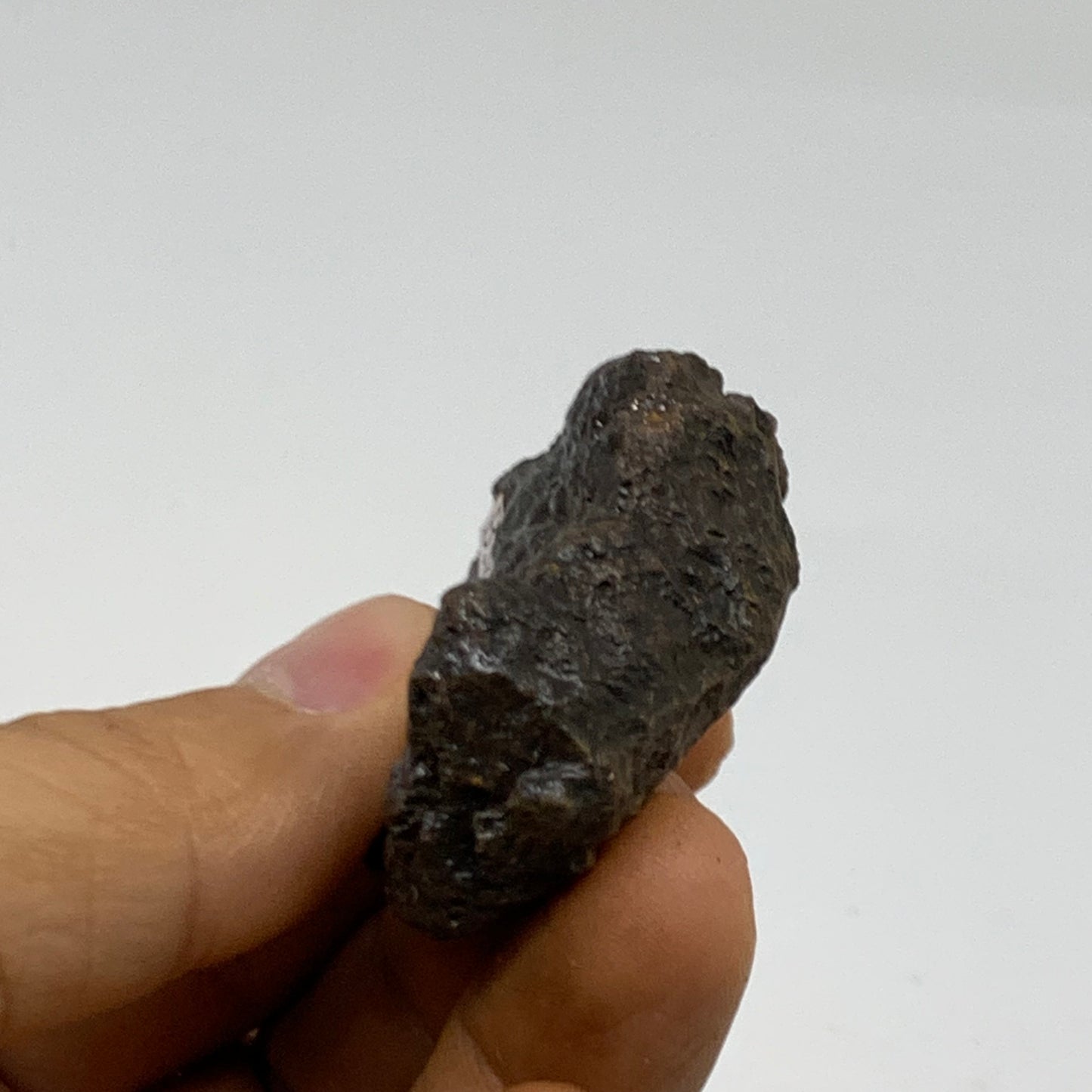 66.3g, 2"x1.6"x0.6", Rough Hematite Botryoidal Mineral Crystal, B38486