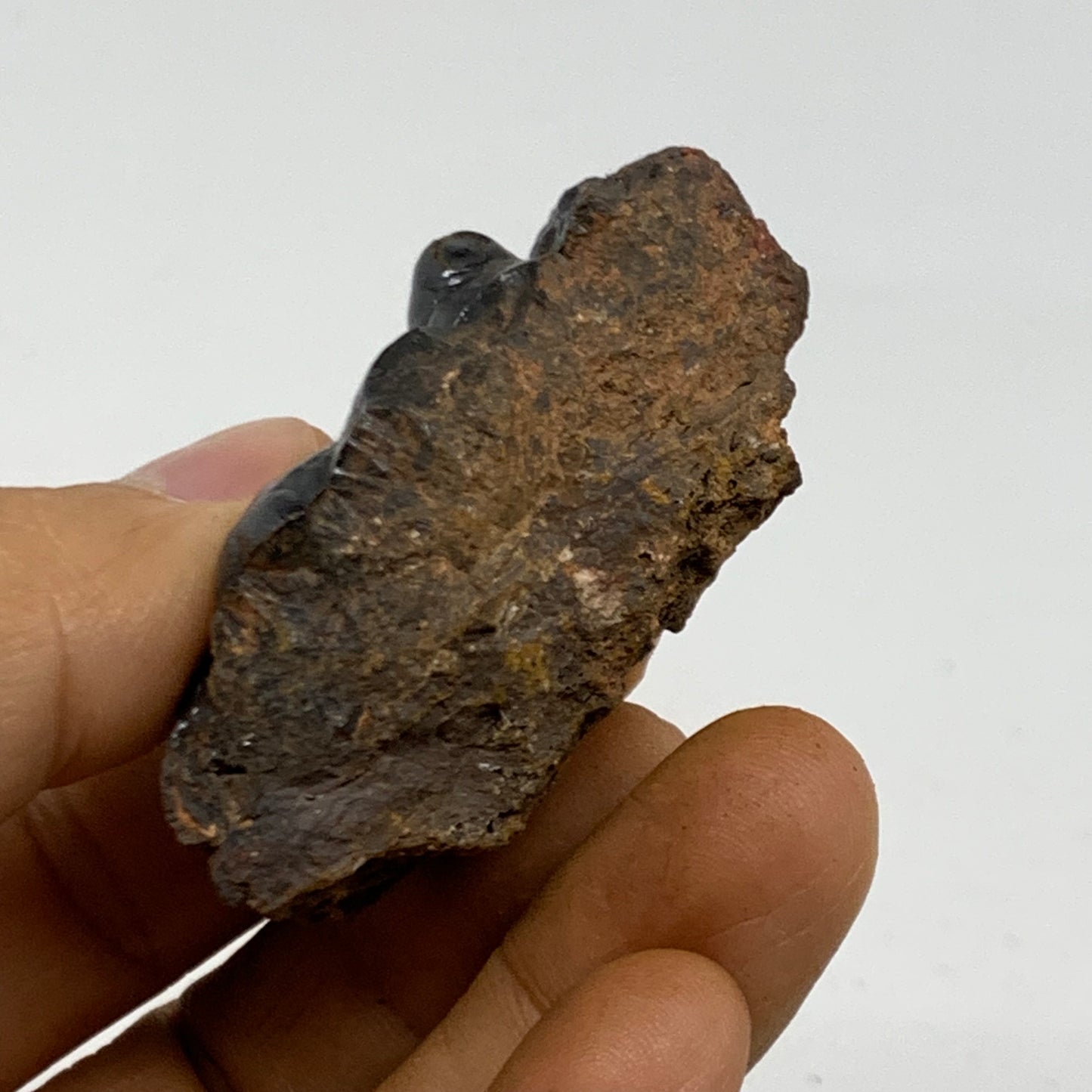 71.6g, 2"x1.2"x1.1", Rough Hematite Botryoidal Mineral Crystal, B38487