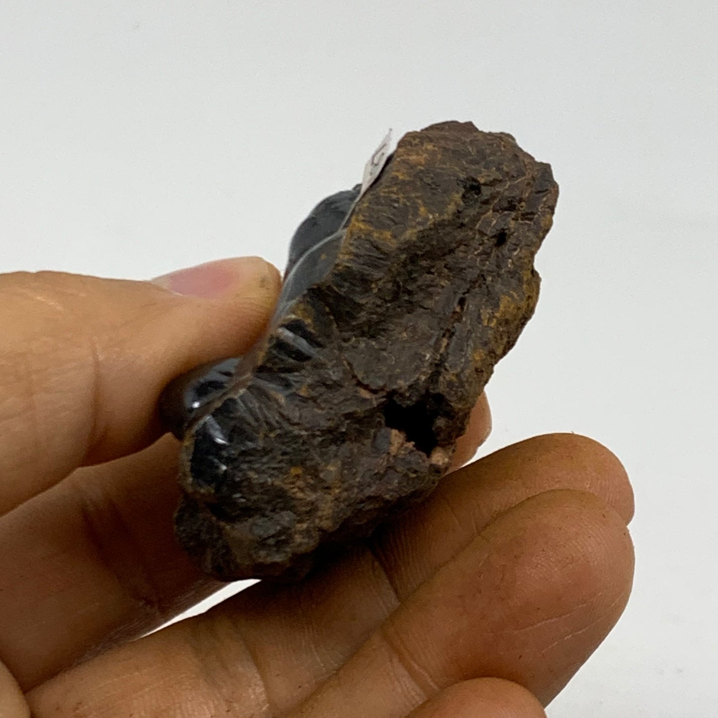 71.6g, 2"x1.2"x1.1", Rough Hematite Botryoidal Mineral Crystal, B38487