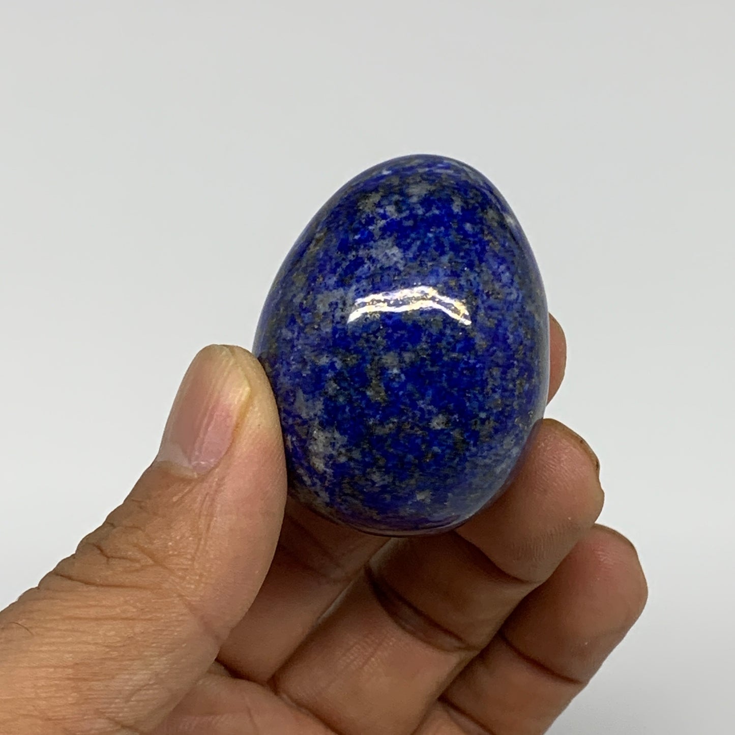 150.9g, 1.6"-1.7", 2pcs, Natural Lapis Lazuli Egg Polished @Afghanistan, B30413