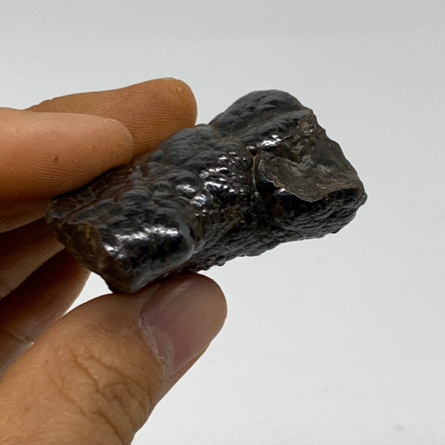 84g, 1.9"x1.7"x0.9", Rough Hematite Botryoidal Mineral Crystal, B38489