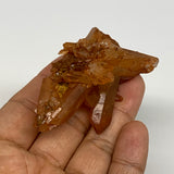 44g, 2.6"x1.4"x1.1", Orange Quartz Cluster Crystal Terminated @Brazil, B28935