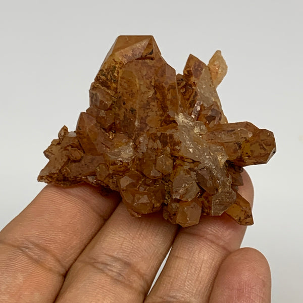 46.7g, 2.3"x2.1"x0.9", Orange Quartz Cluster Crystal Terminated @Brazil, B28938