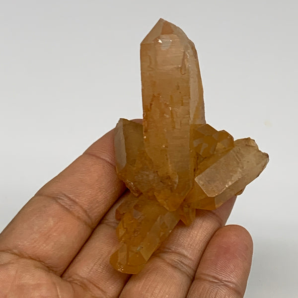 52.2g, 2.8"x1.8"x1", Orange Quartz Cluster Crystal Terminated @Brazil, B28939