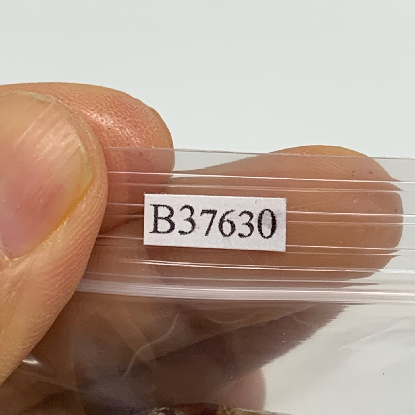 160g, 2.2"-2.4", 2pcs, Red Carnelian Palm-Stone Gem Crystal Polished, B37630