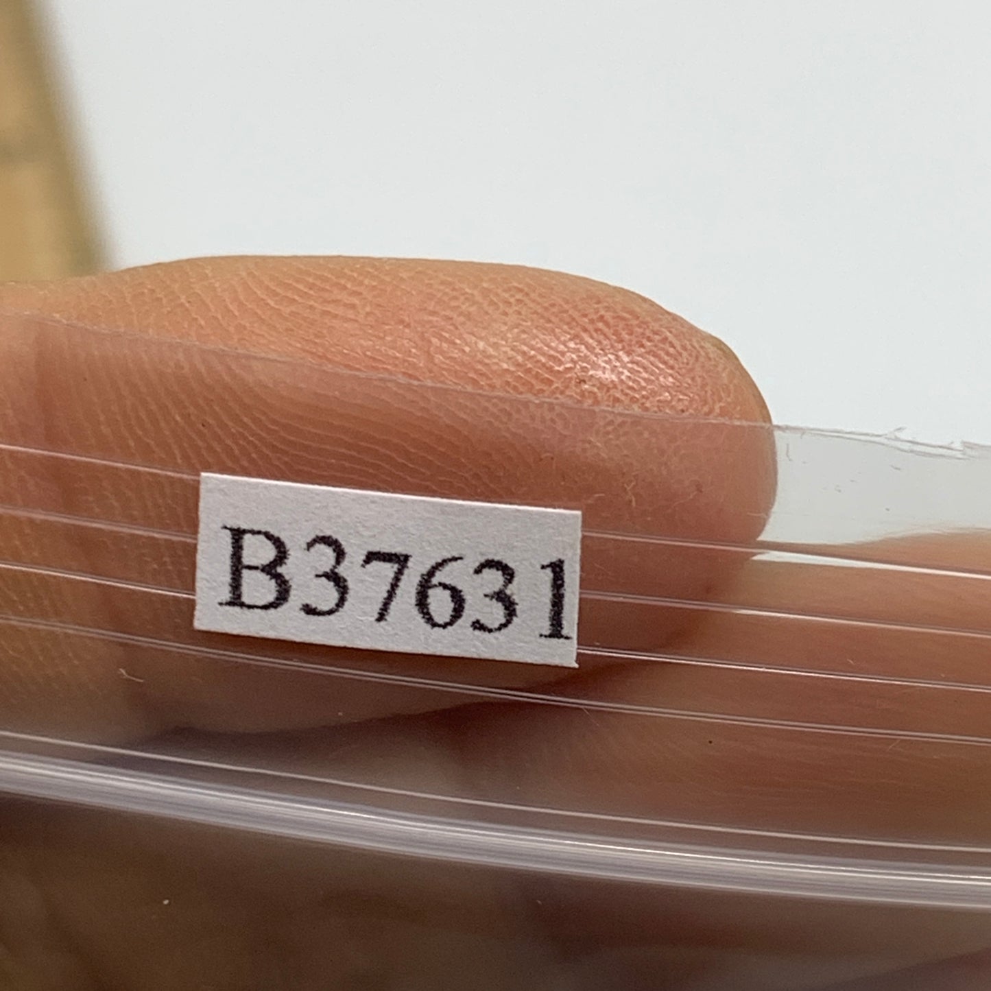 191.3g, 2"-2.1", 3pcs, Red Carnelian Palm-Stone Gem Crystal Polished, B37631