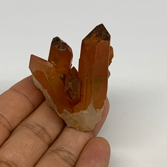51.1g, 2.1"x1.6"x1.2", Orange Quartz Cluster Crystal Terminated @Brazil, B28944