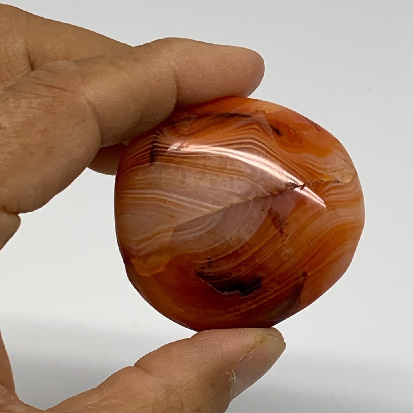 255.2g, 1.8"-2.1", 3pcs, Red Carnelian Palm-Stone Gem Crystal Polished, B37638