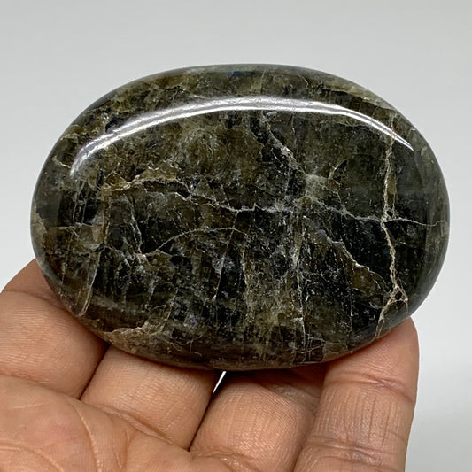 91.7g, 2.6"x1.9"x0.6", Natural Labradorite Palm-stone Tumbled Reiki, B35388