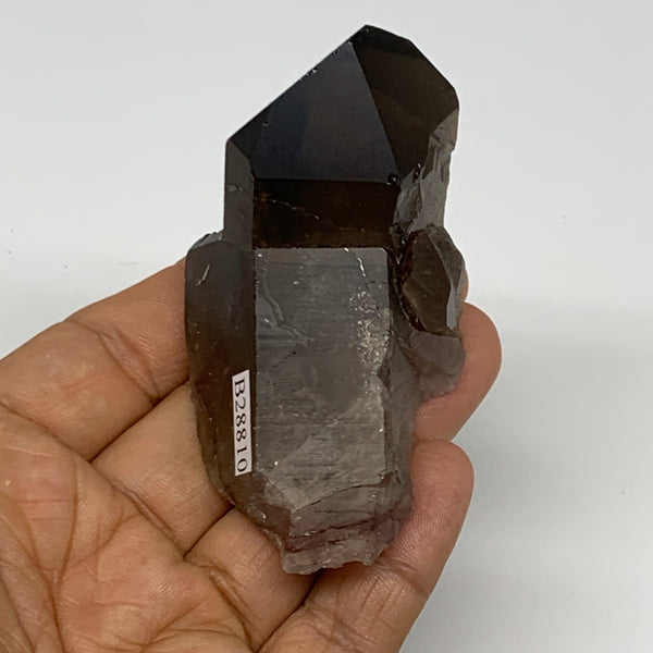 103.9g,2.9"x1.6"x1.2",Smoky Quartz Crystal Mineral,Specimen Terminated,B28810
