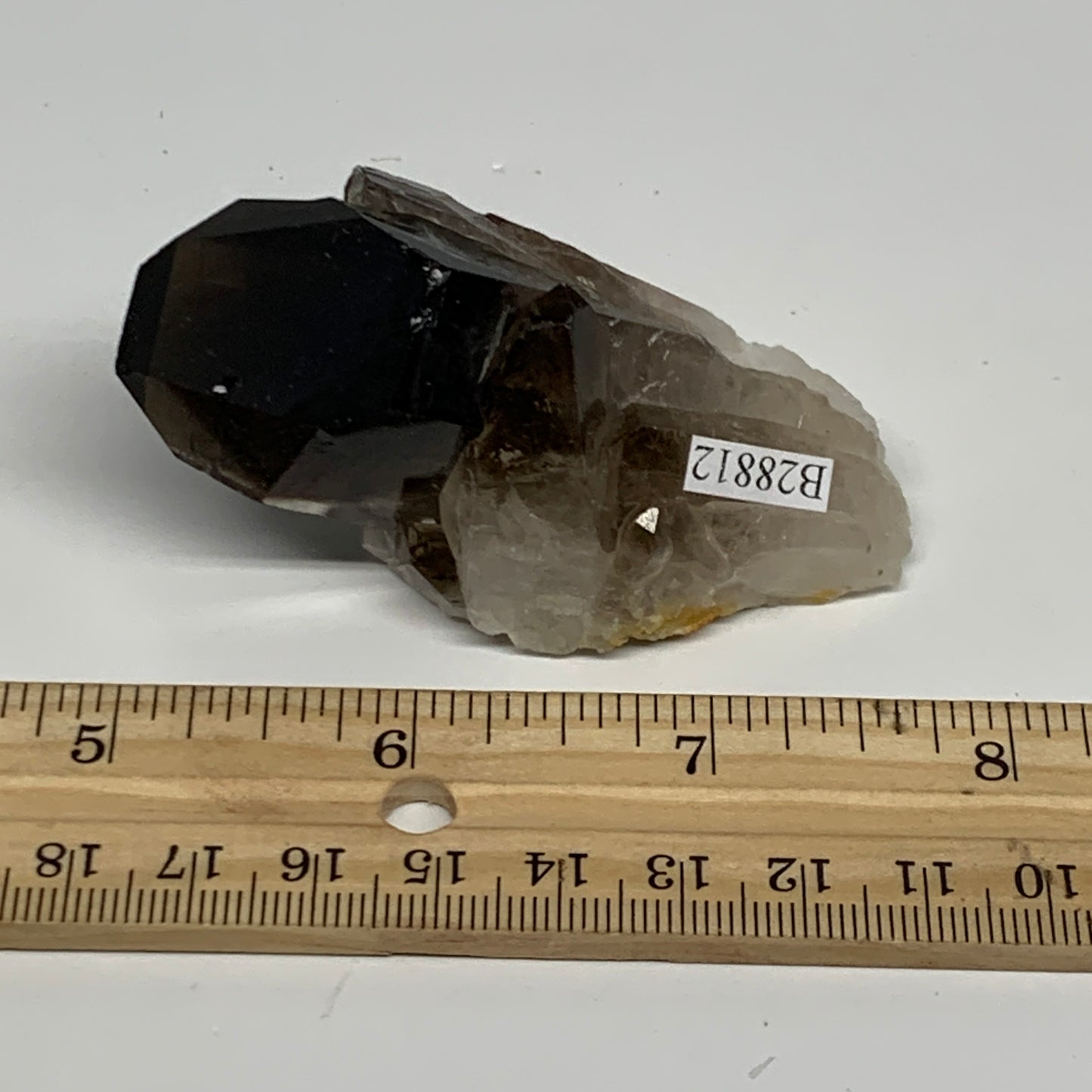 80.2g,2.9"x1.5"x1.3",Smoky Quartz Crystal Mineral,Specimen Terminated,B28812