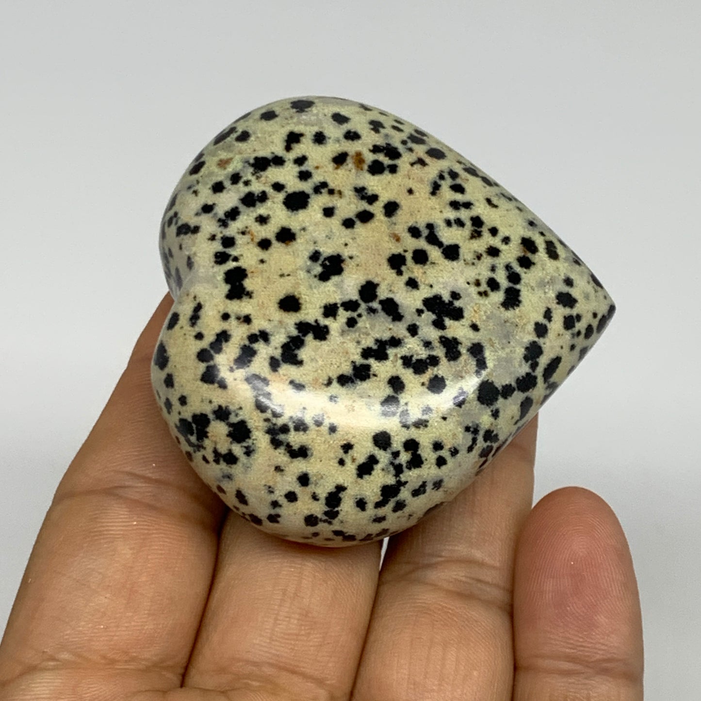 93.2g,2.1"x2.2"x0.9" Dalmatian Jasper Heart Polished Healing Home Decor, B29707