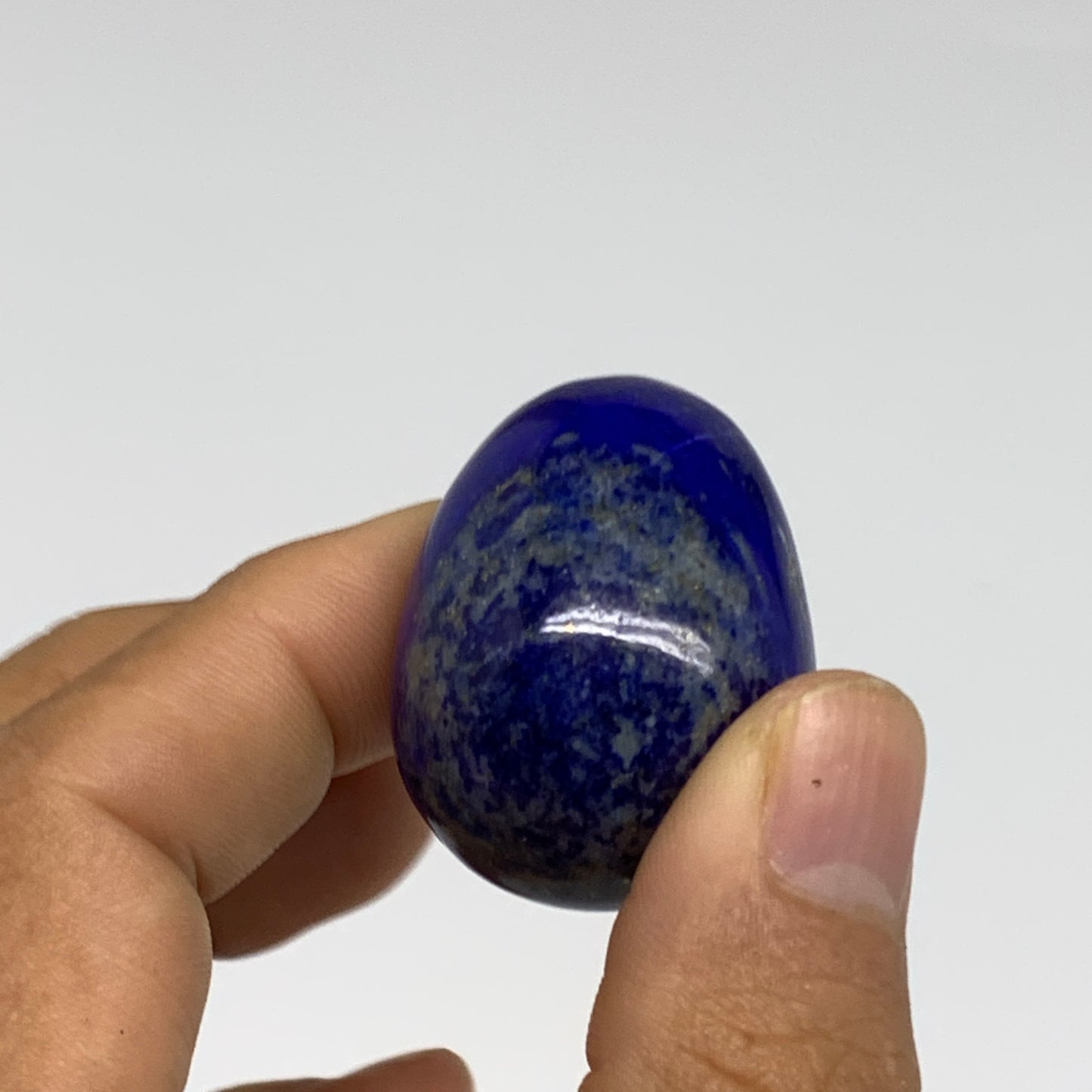 131g, 1.4"-1.8", 3pcs, Natural Lapis Lazuli Egg Polished @Afghanistan, B30436