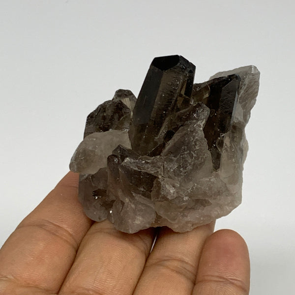 96.5g,2.1"x2.3"x1.5",Smoky Quartz Crystal Mineral,Specimen Terminated,B28815