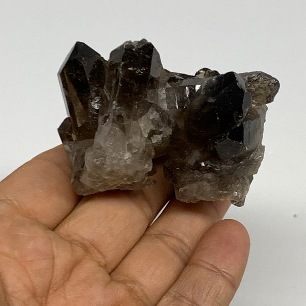 98.1g,2.3"x1.7"x1.7",Smoky Quartz Crystal Mineral,Specimen Terminated,B28820