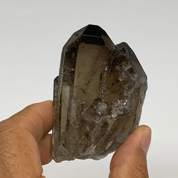 93.2g,2.6"x1.7"x1.1",Smoky Quartz Crystal Mineral,Specimen Terminated,B28822