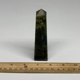 158.5g, 4.3"x1.1"x1.1, Labradorite Tower Point Crystal @Madagascar, B31287