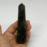 144.2g, 4.3"x1.1"x1.1, Labradorite Tower Point Crystal @Madagascar, B31289