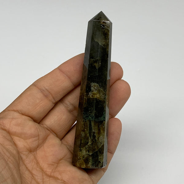 66.5g, 3.9"x0.8", Labradorite Tower Point Crystal @Madagascar, B31293