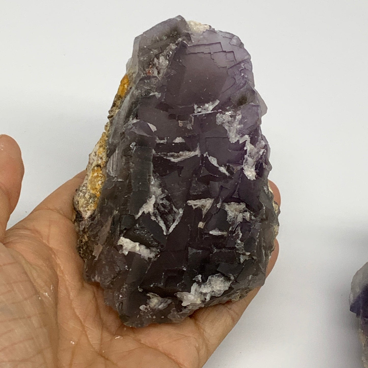 5.95 lbs,3.7"-4.2",6pcs, Purple Fluorite Crystal Minerals Specimens, B27410