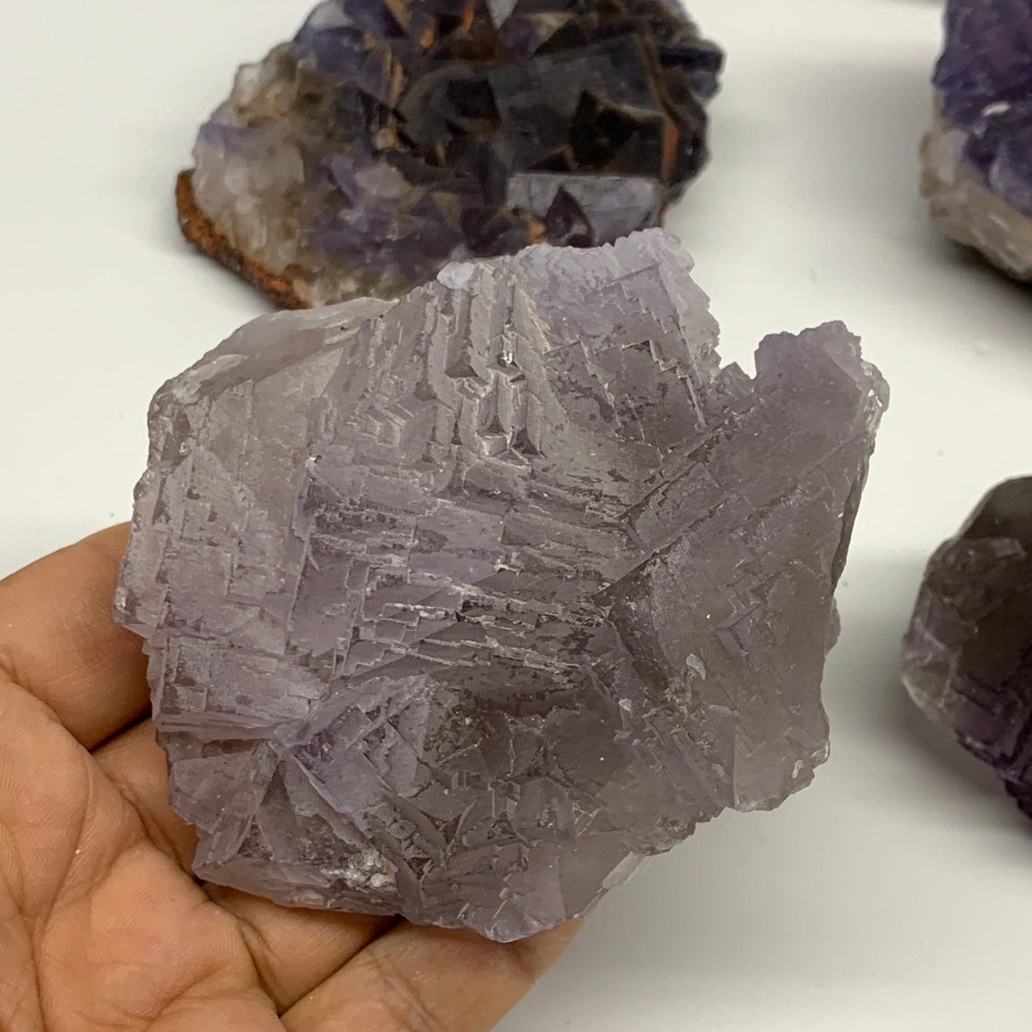 6.39 lbs,3"-4.3" 6pcs, Purple Fluorite Crystal Minerals Specimens,B27412
