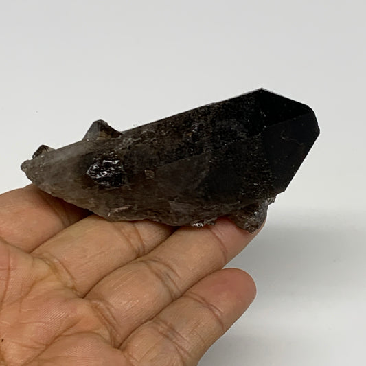 81.5g,3.1"x1.4"x0.9",Smoky Quartz Crystal Mineral,Specimen Terminated,B28966