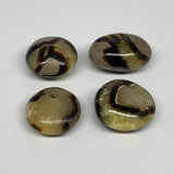 138.8g, 1.4"-1.7", 4pcs, Septarian Nodule Palm-Stone Polished Reiki Crystal, B28