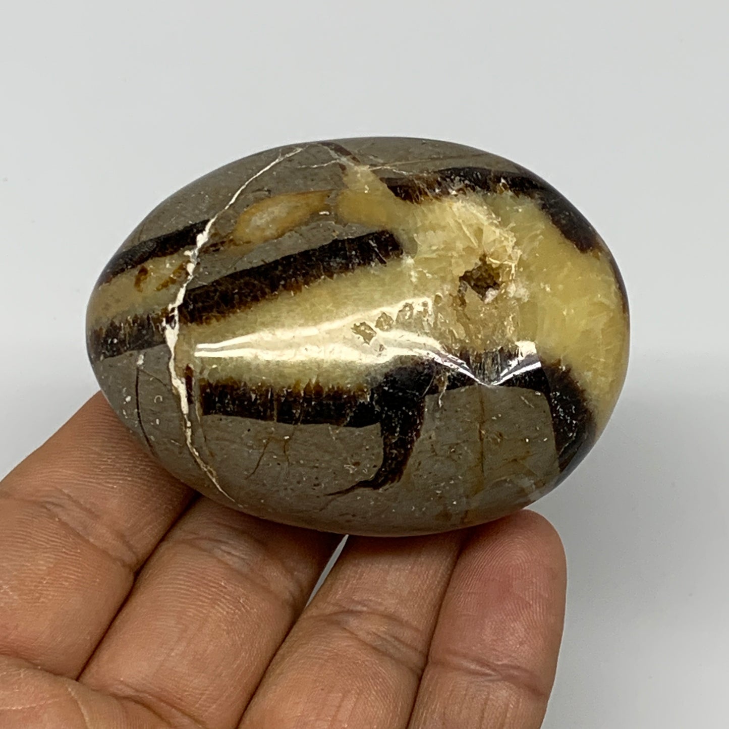 116.2g,2.5"x1.9"x1.1", Septarian Nodule Palm-Stone Polished Reiki Crystal, B2826
