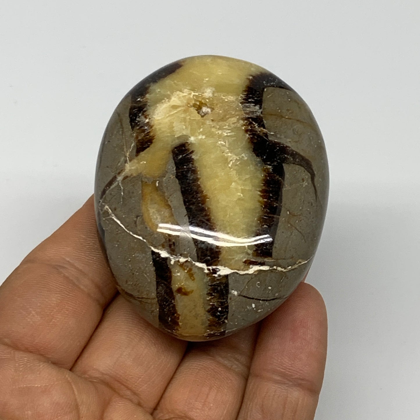 116.2g,2.5"x1.9"x1.1", Septarian Nodule Palm-Stone Polished Reiki Crystal, B2826