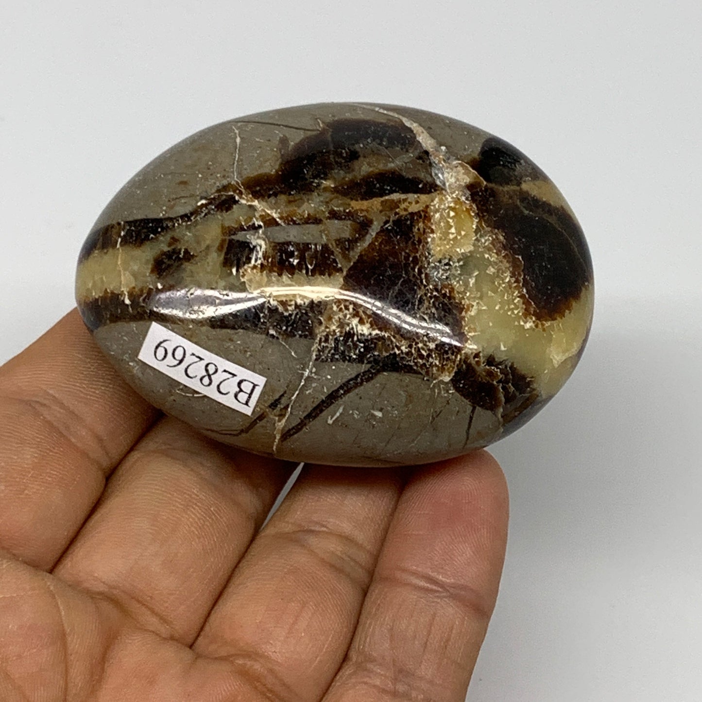 116.2g,2.5"x1.9"x1.1", Septarian Nodule Palm-Stone Polished Reiki Crystal, B2826