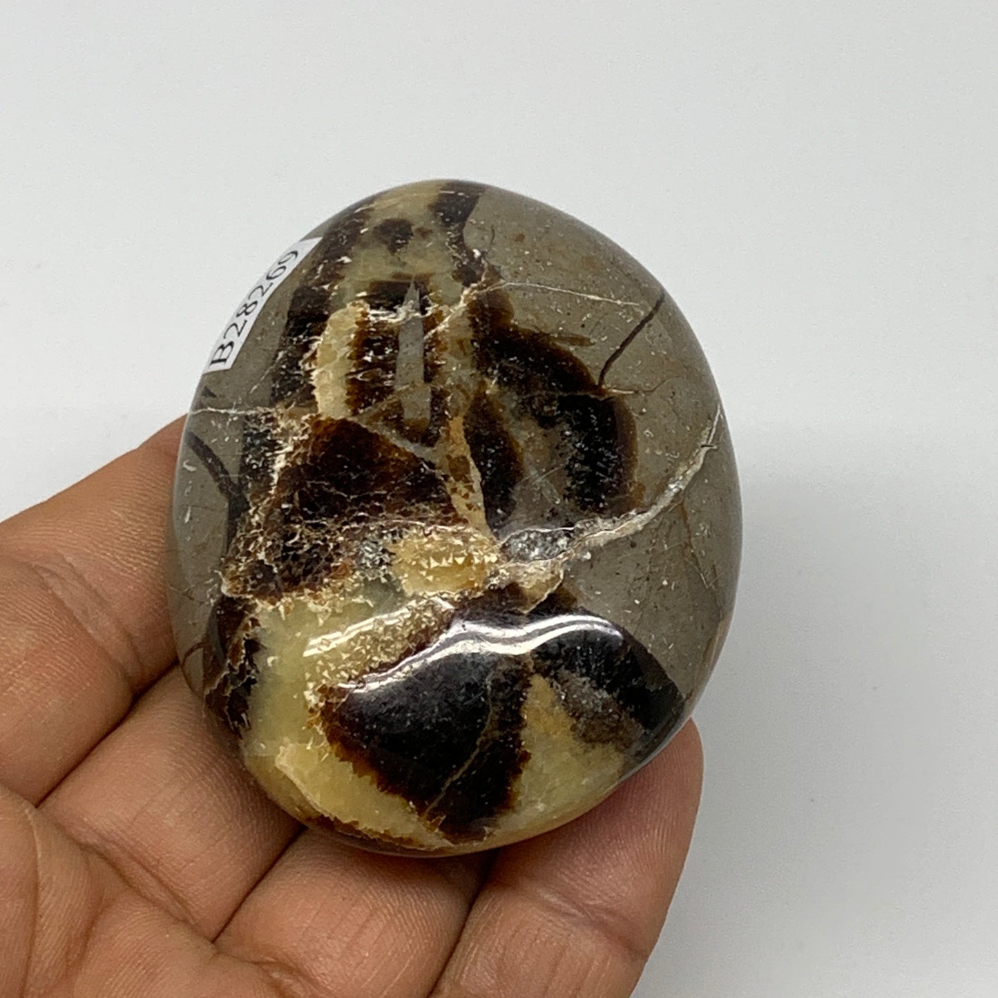 116.2g,2.5"x1.9"x1.1", Septarian Nodule Palm-Stone Polished Reiki Crystal, B2826