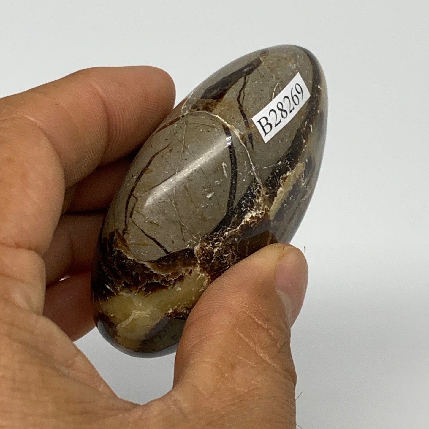 116.2g,2.5"x1.9"x1.1", Septarian Nodule Palm-Stone Polished Reiki Crystal, B2826