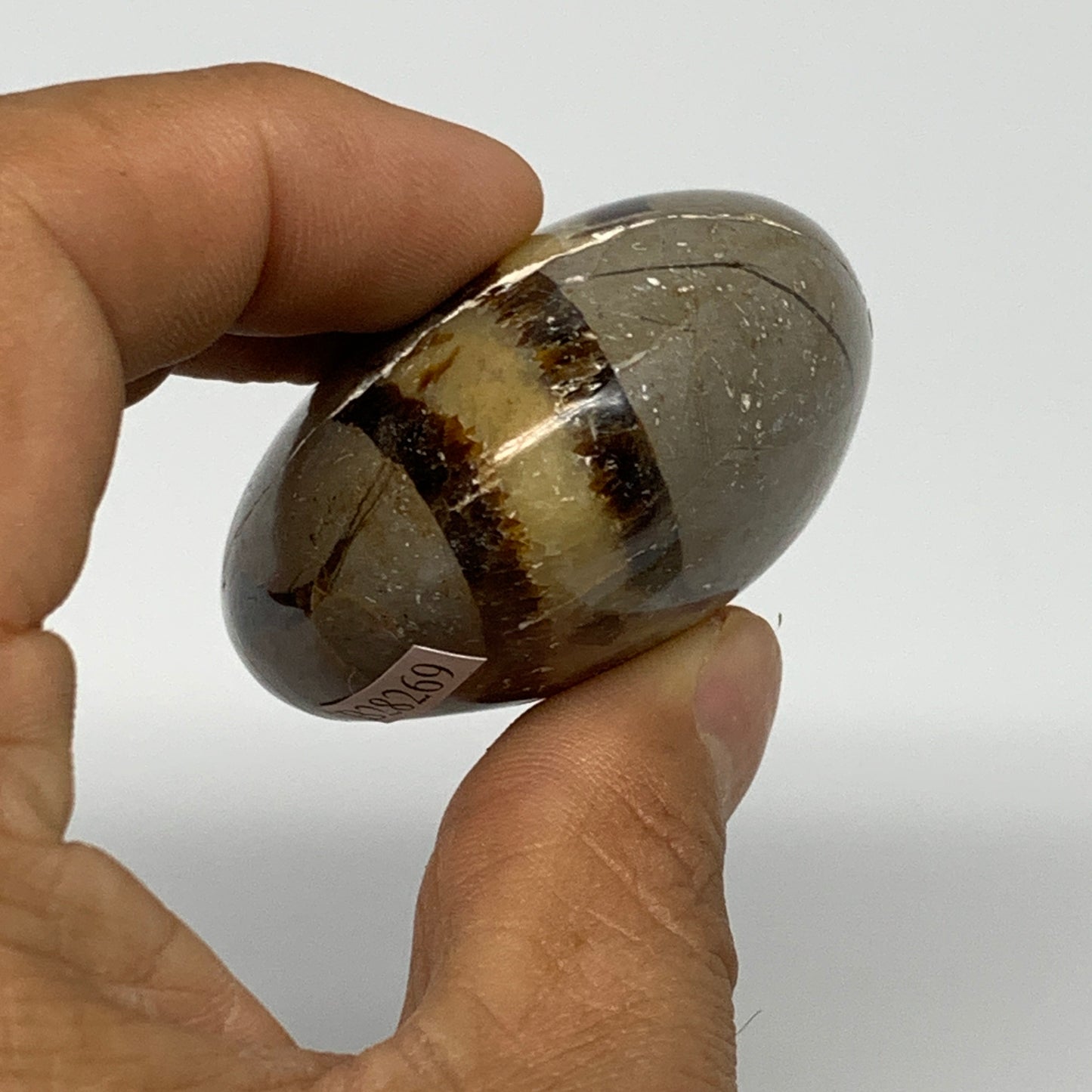 116.2g,2.5"x1.9"x1.1", Septarian Nodule Palm-Stone Polished Reiki Crystal, B2826