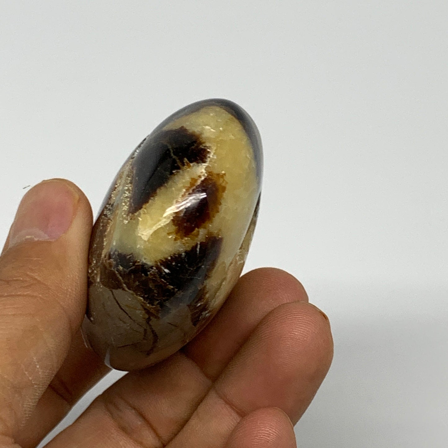 116.2g,2.5"x1.9"x1.1", Septarian Nodule Palm-Stone Polished Reiki Crystal, B2826