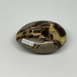 116.2g,2.5"x1.9"x1.1", Septarian Nodule Palm-Stone Polished Reiki Crystal, B2826