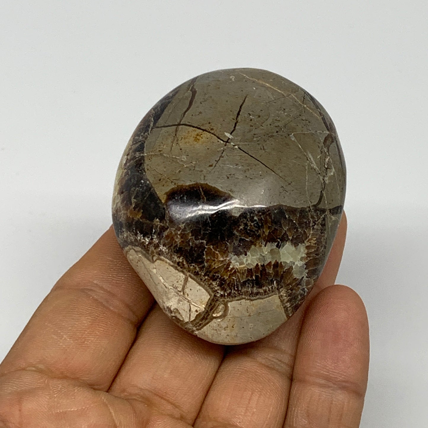 108.1g,2.3"x1.8"x1.2", Septarian Nodule Palm-Stone Polished Reiki, B28267