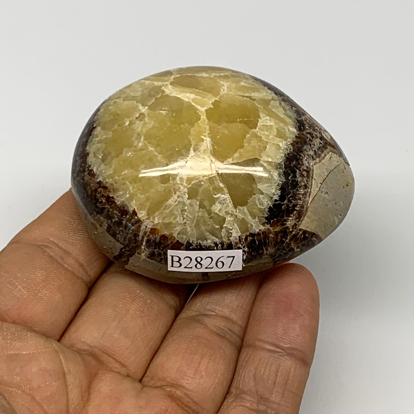 108.1g,2.3"x1.8"x1.2", Septarian Nodule Palm-Stone Polished Reiki, B28267