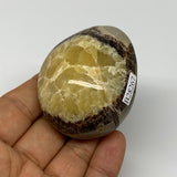 108.1g,2.3"x1.8"x1.2", Septarian Nodule Palm-Stone Polished Reiki, B28267
