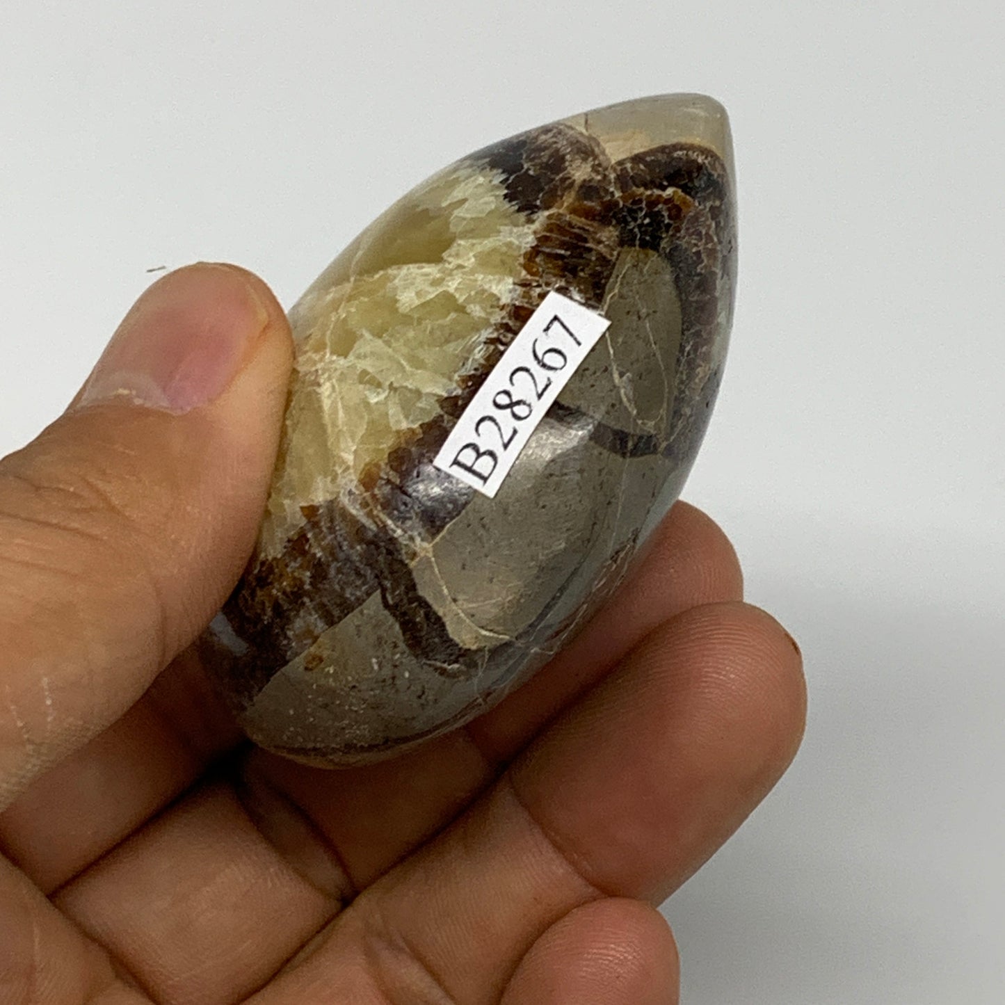 108.1g,2.3"x1.8"x1.2", Septarian Nodule Palm-Stone Polished Reiki, B28267