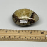 108.1g,2.3"x1.8"x1.2", Septarian Nodule Palm-Stone Polished Reiki, B28267