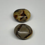 146.2g, 1.8"-1.9", 2pcs, Septarian Nodule Palm-Stone Polished Reiki Crystal, B28