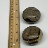 194.9g, 1.8"-1.9", 2pcs, Septarian Nodule Palm-Stone Polished Reiki Crystal, B28