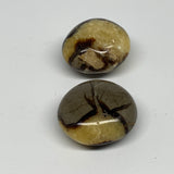 161.1g, 1.8"-1.9", 2pcs, Septarian Nodule Palm-Stone Polished Reiki Crystal, B28